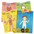Interactive Human Anatomy Learning Poster, 4 Topics, Ages 5–12 - product photo