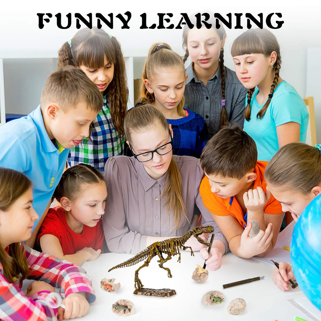Premium STEM Fossil Digging Kit