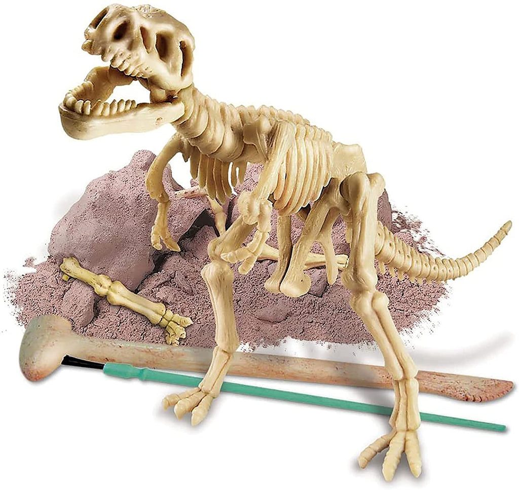 Young Paleontologists Excavation