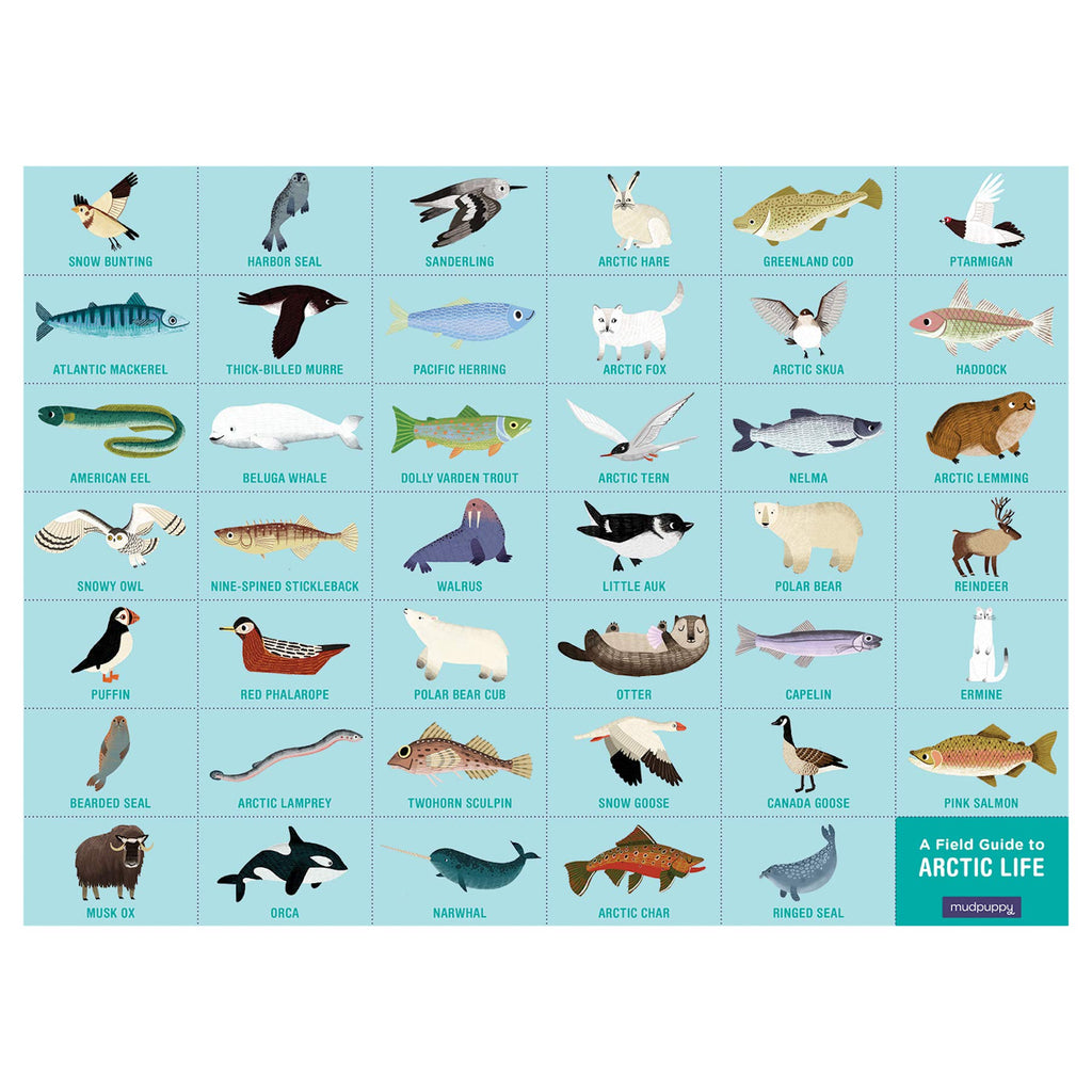 Mudpuppy Arctic Life Search & Find Puzzle, 64 Pieces