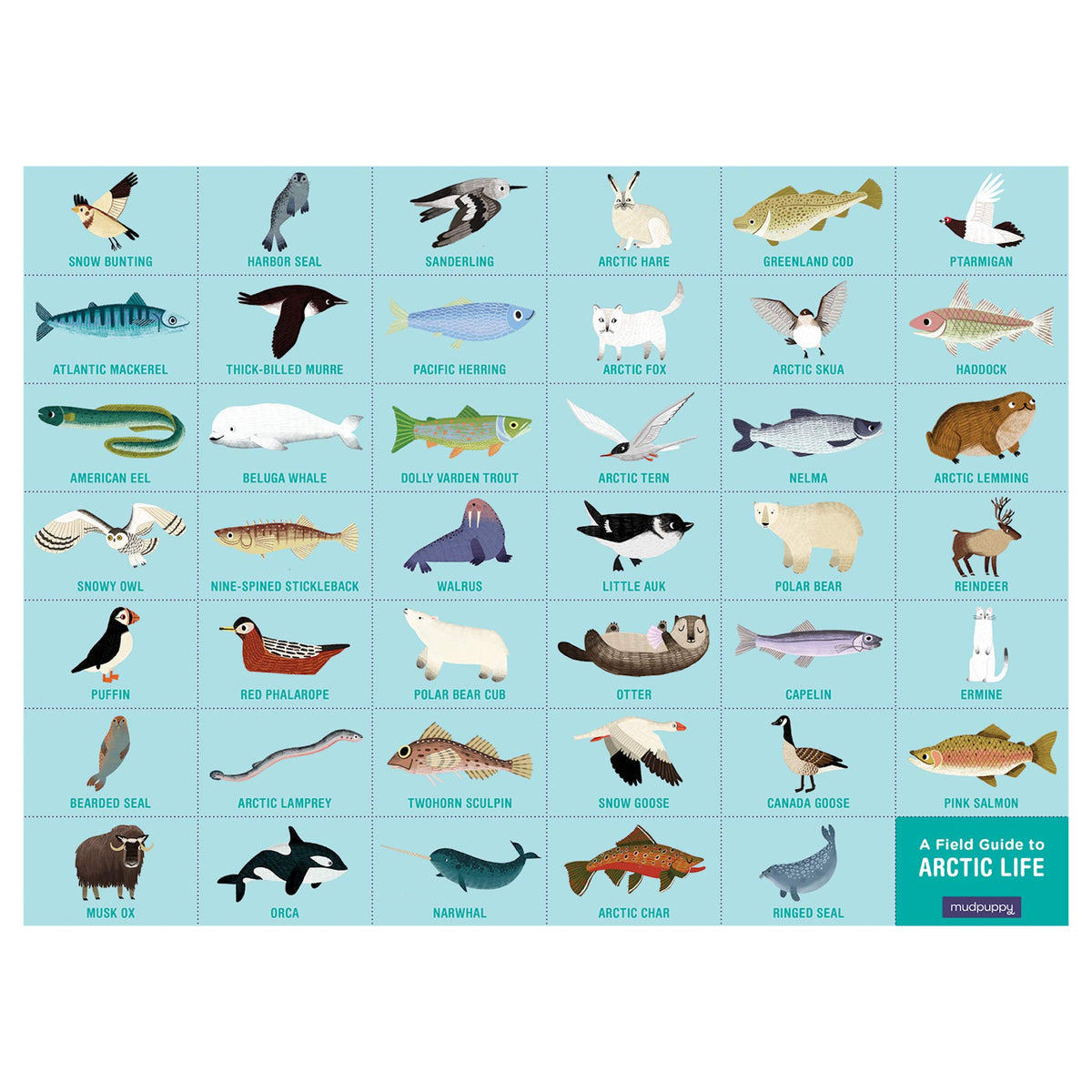 Mudpuppy Arctic Life Search & Find Puzzle, 64 Pieces
