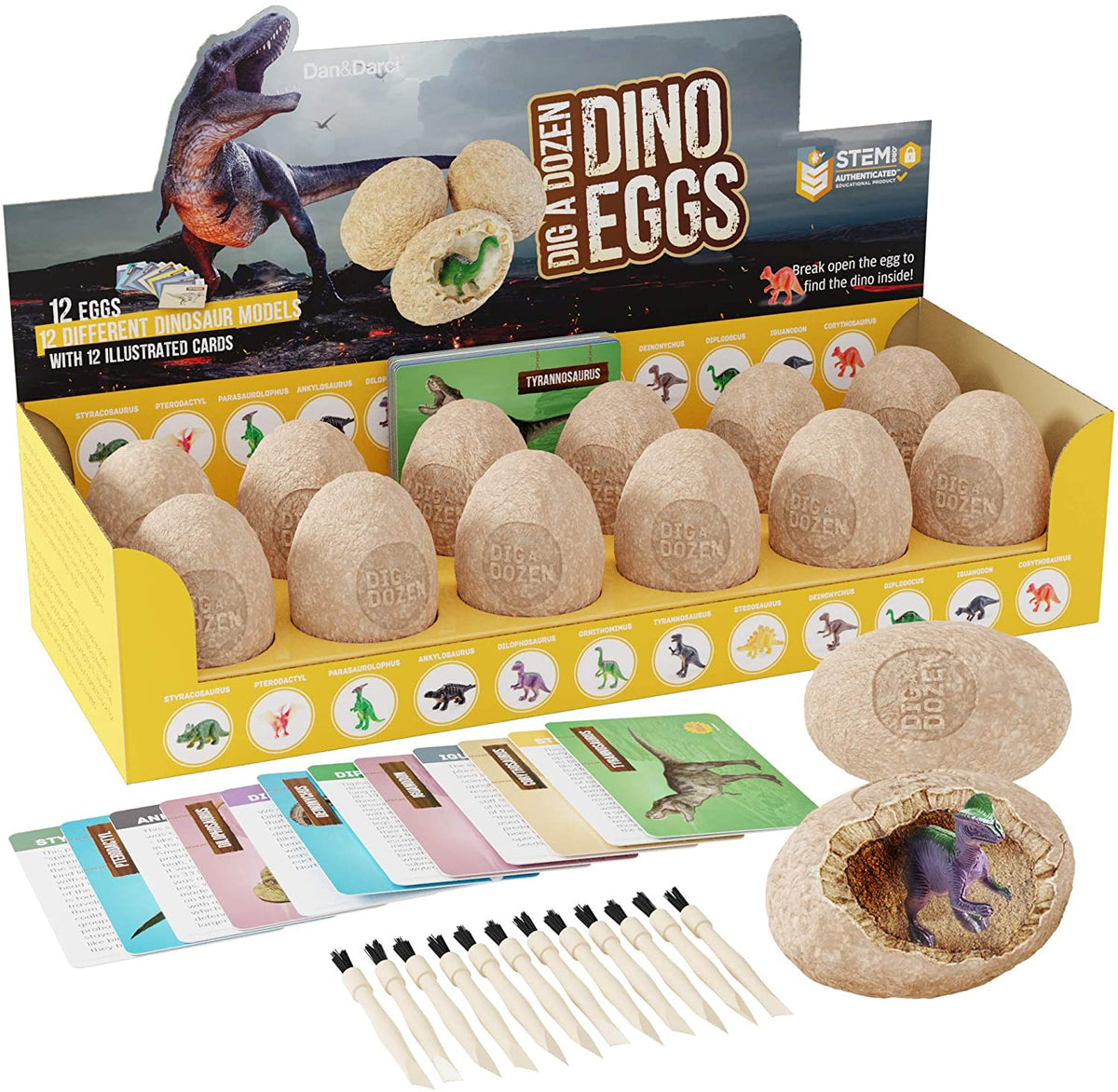 Prehistoric Basket Baby Dino STEM Set