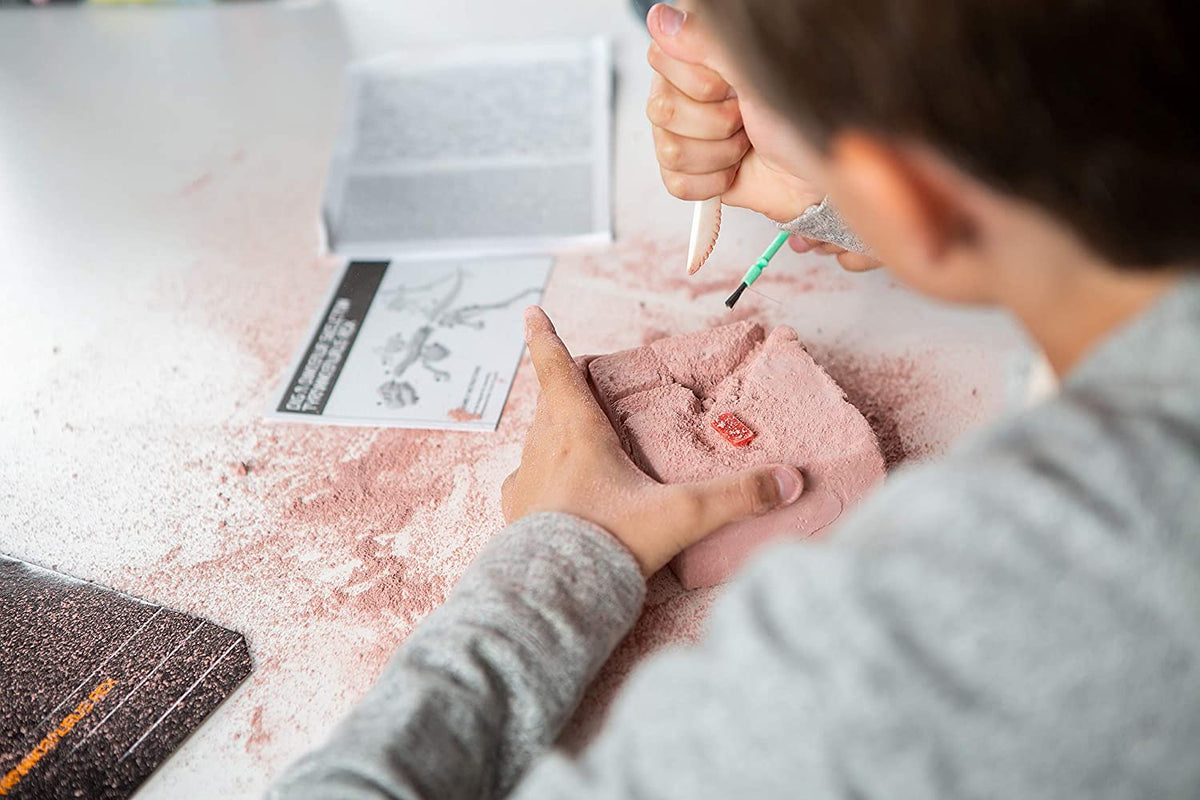 Young Paleontologists Excavation