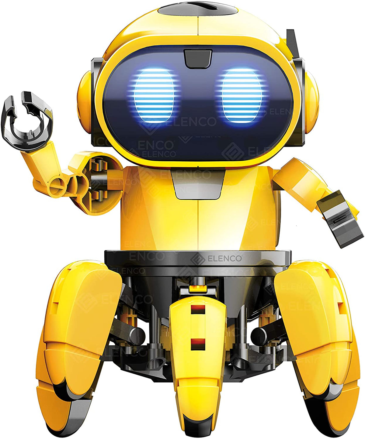 Robo Pal STEM Companion