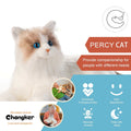 Percy Robot Cat – Voice,Purring & Heartbeat for Comfort - Maven Couture IncPERCY