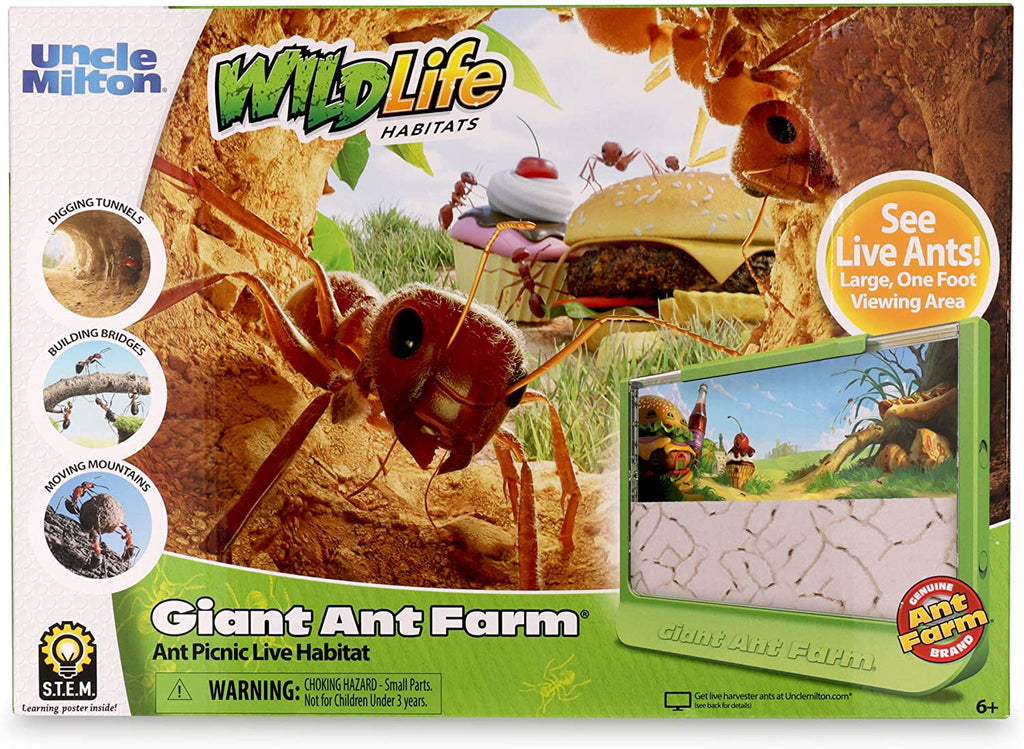 Mega Ant STEM Settlement