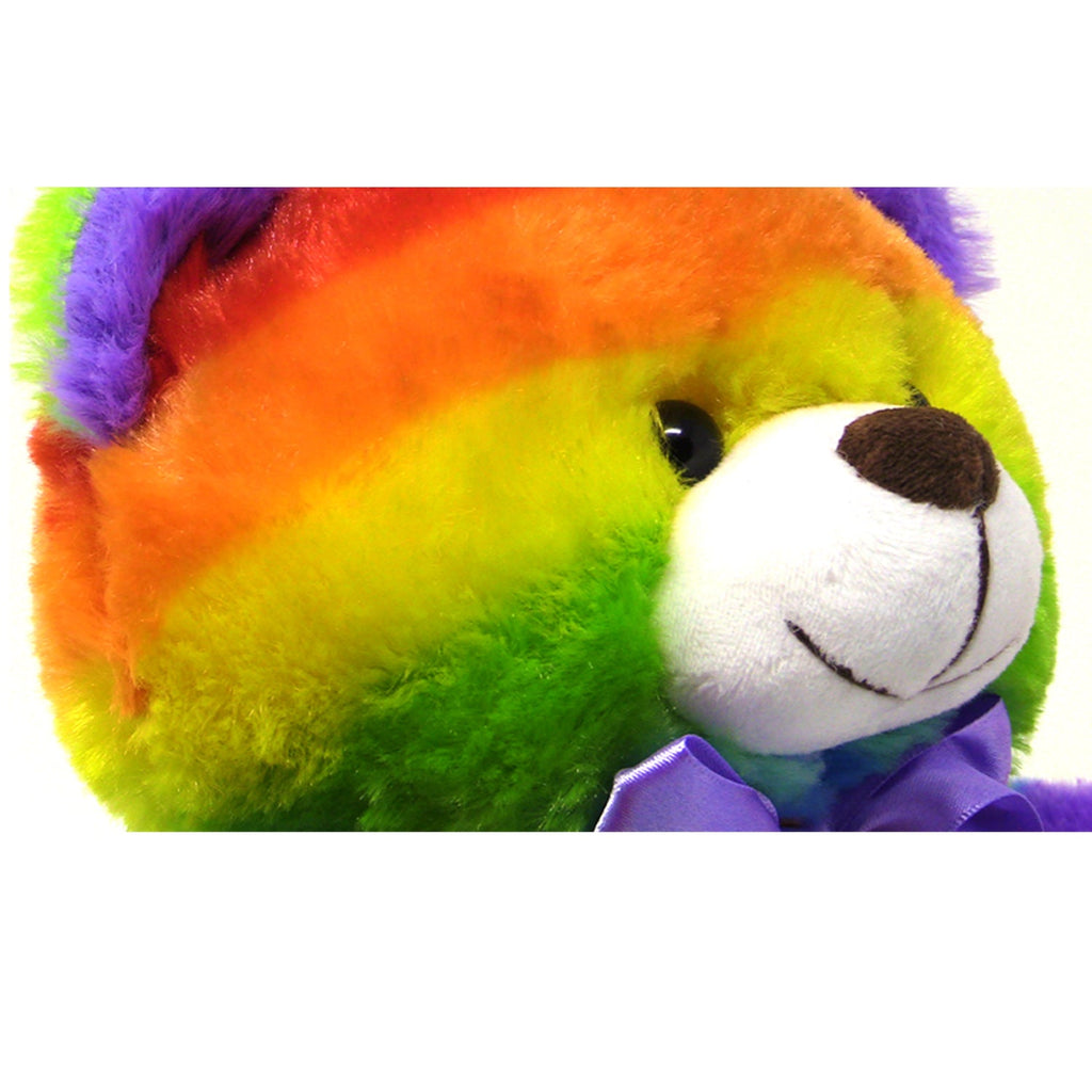 Rainbow Teddy Bear Plush Stuffed Animal, 12-Inch, Ages 3+