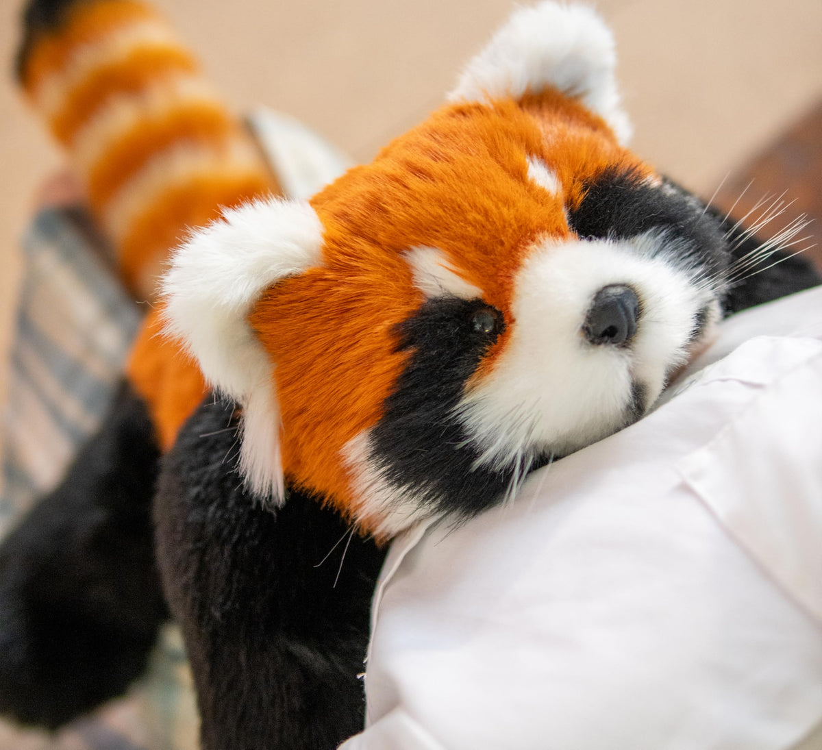 Breathing Red Panda Plush by Chongker, image 1 of 14