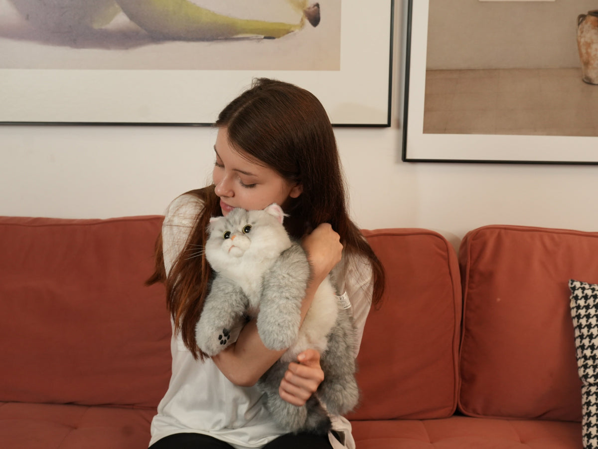 Silver British Shorthair Cat Plush by Chongker, image 5 of 10