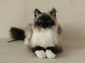 Longhair Siamese Weighted Cat Plush – Handmade Plush by Chongker, image 1 of 6