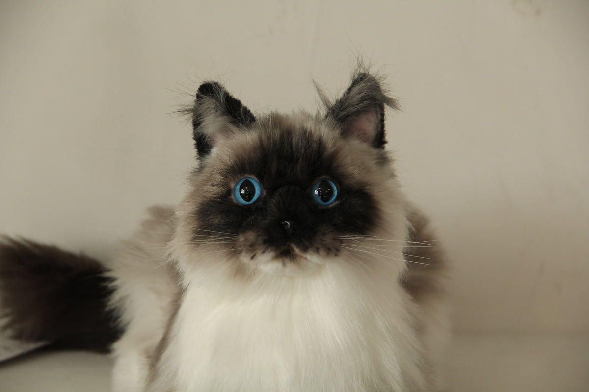 Longhair Siamese Weighted Cat Plush – Handmade Plush by Chongker, image 2 of 6