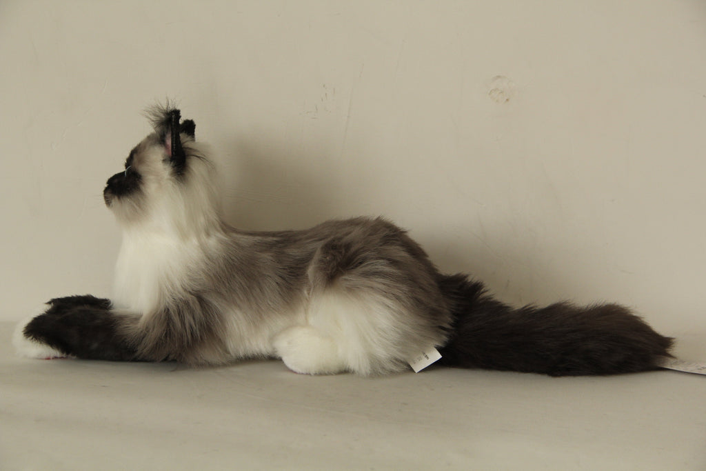 Longhair Siamese Weighted Cat Plush – Handmade Plush by Chongker, image 3 of 6