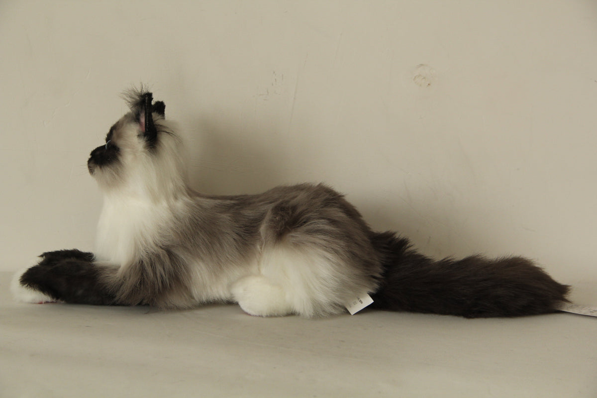 Longhair Siamese Weighted Cat Plush – Handmade Plush by Chongker, image 3 of 6