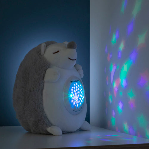 Spikey Hedgehog Light & Sound Plush