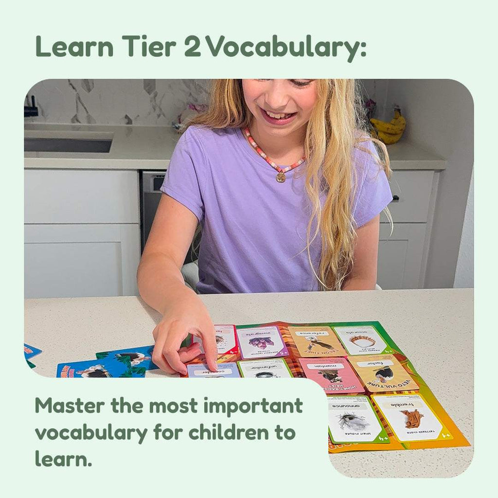 Vocabulary Vultures — product photo 6 of 6