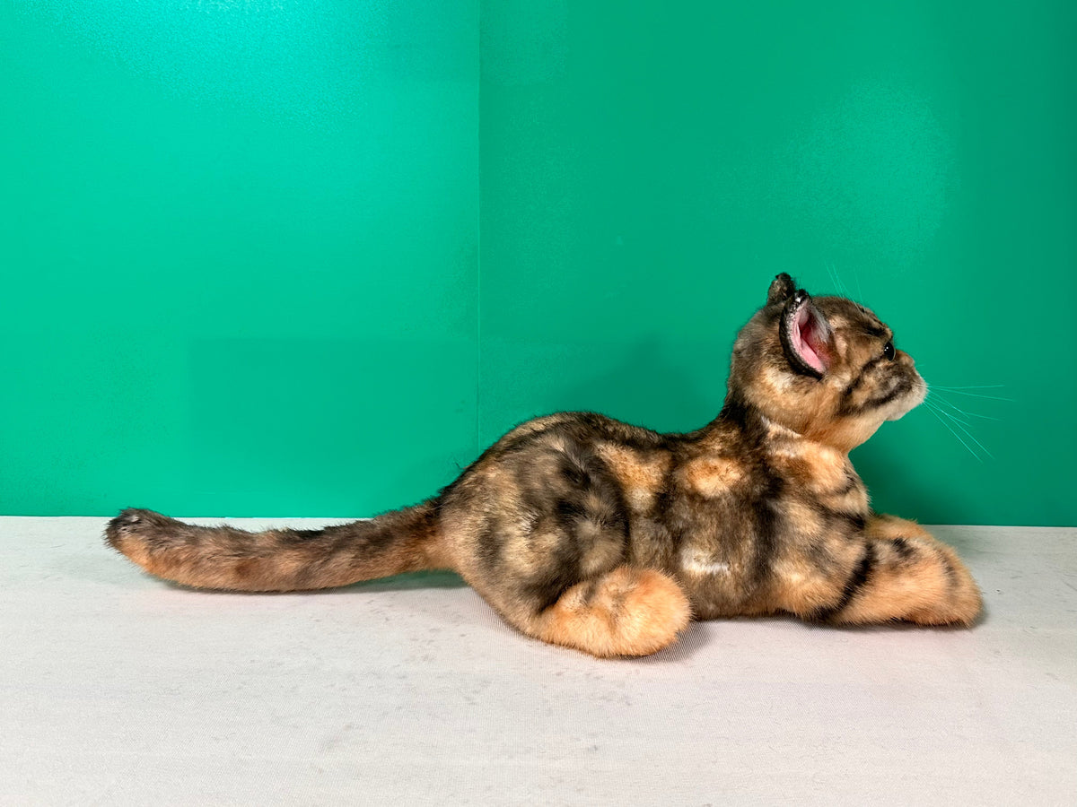 Leopard-Print Cat Plush – Handmade Plush by Chongker, image 5 of 7