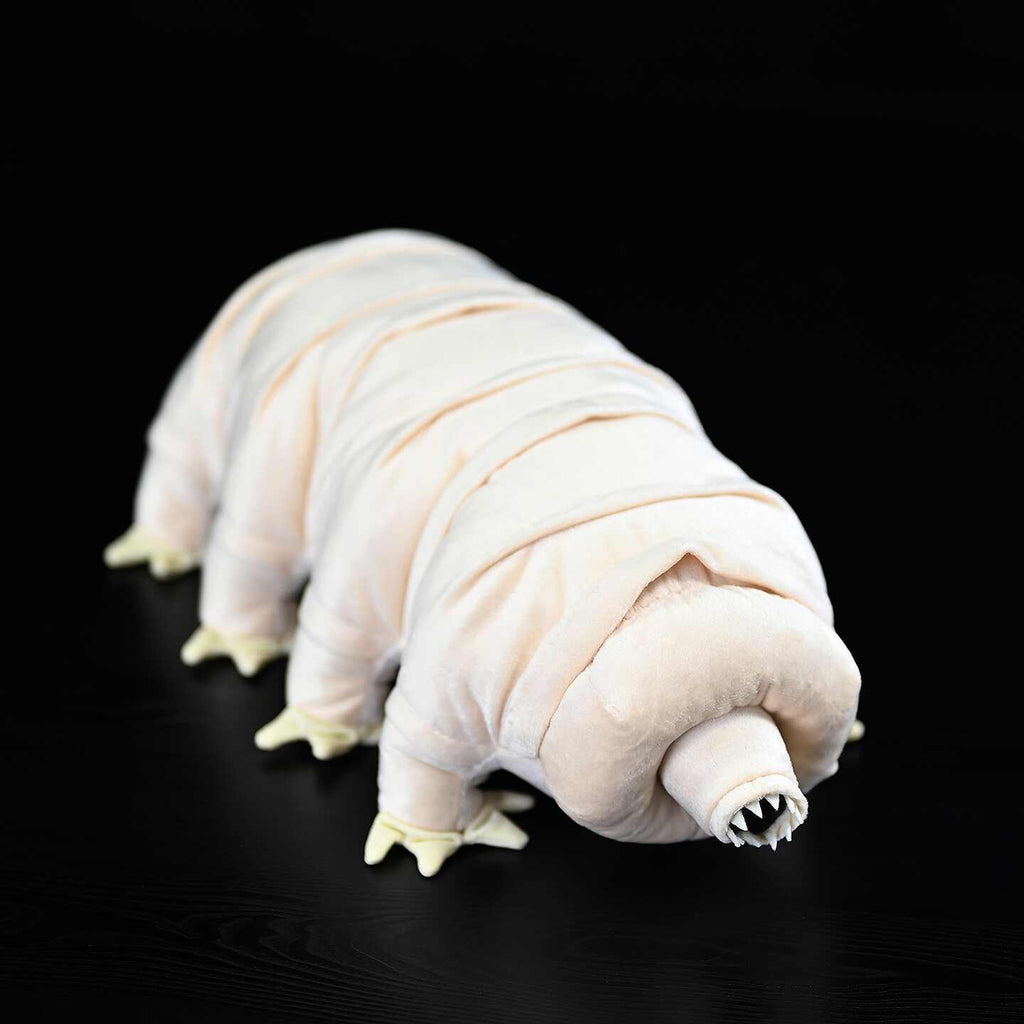 Cute Dinosaur Doll With Plush Toys