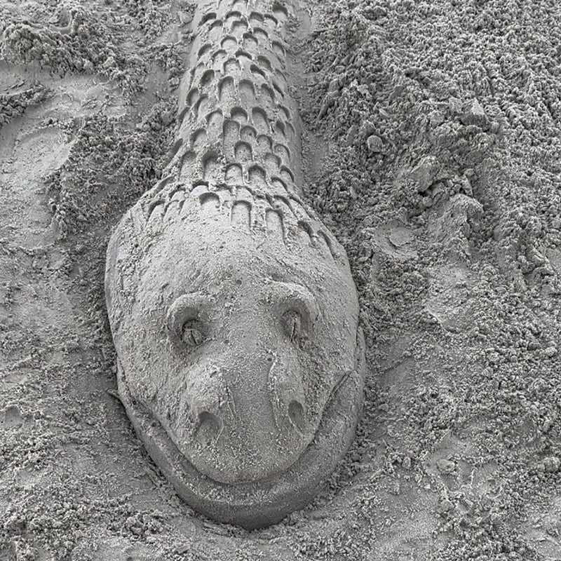 Create A Castle Beach Sculpting Tool Kit