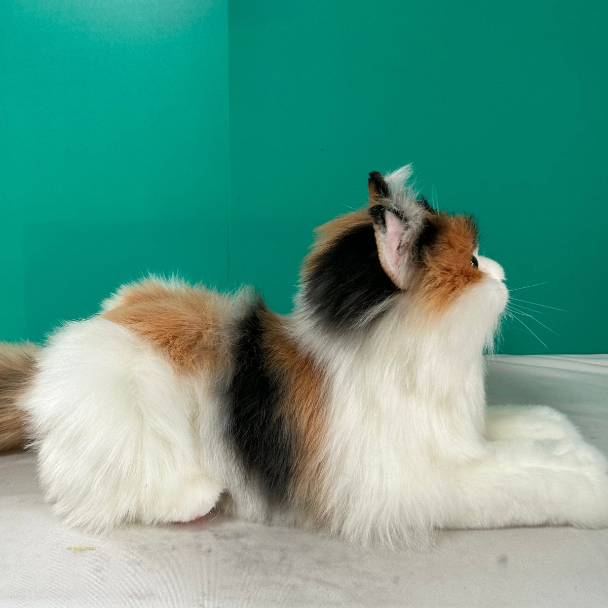 Calico Cat Plush – Handmade Plush by Chongker, image 4 of 6