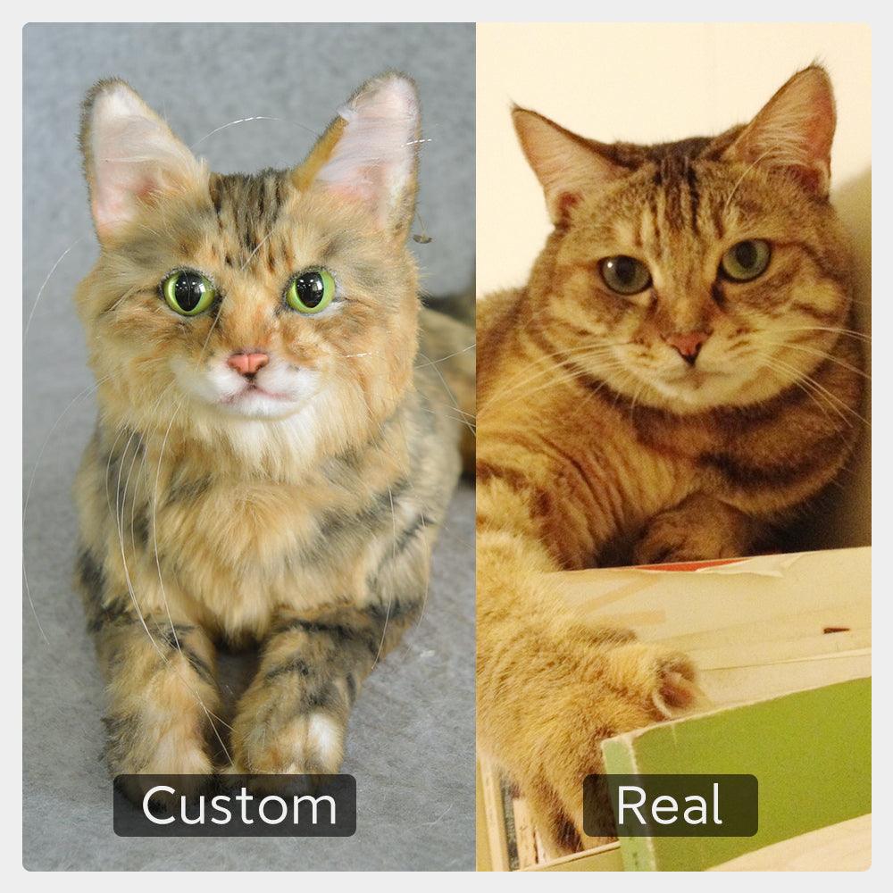 Custom Pet Plush from Photo – Memorial Keepsake for Dogs & Cats by Chongker, image 6 of 8