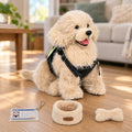 2.2lbs Golden Retriever Plush – Weighted Emotional Support Toy Gift — product photo 1 of 10