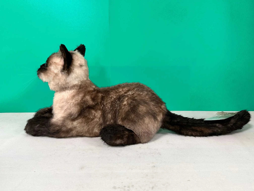 Plush Siamese Shorthair Cat-Weighted-Handmade Life-Size Companion & Pet Memorial - Maven Couture IncOrder to make