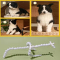 Posture(Dog) - Maven Couture Inc